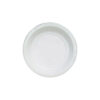 PLASTİK TABAK 17 CM 100 ADET